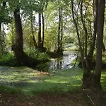 Da Gastone Rivignano
