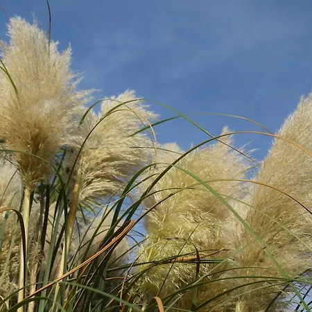 Da Gastone * Rivignano