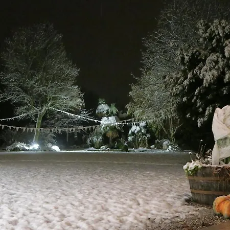 Da Gastone * Rivignano