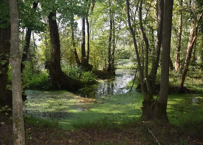 Da Gastone Rivignano