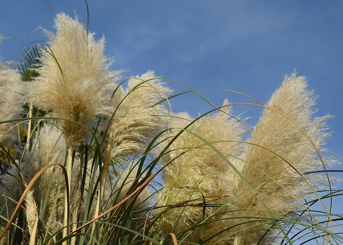 Da Gastone * Rivignano